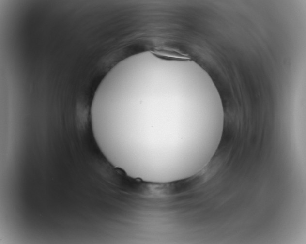 X0000089850188200707191909