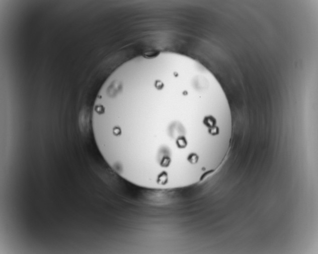 X0000089850191200707191909