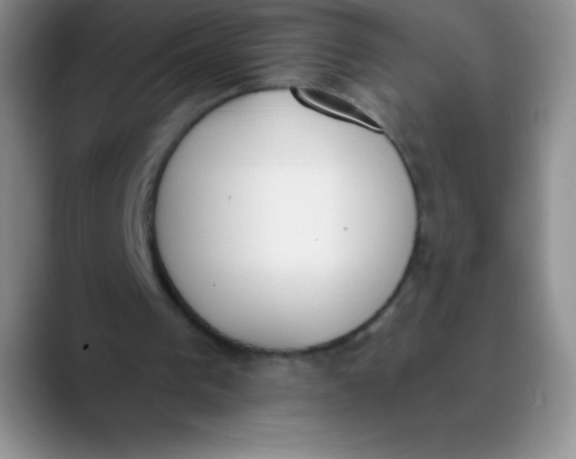 X0000089850193200707191908