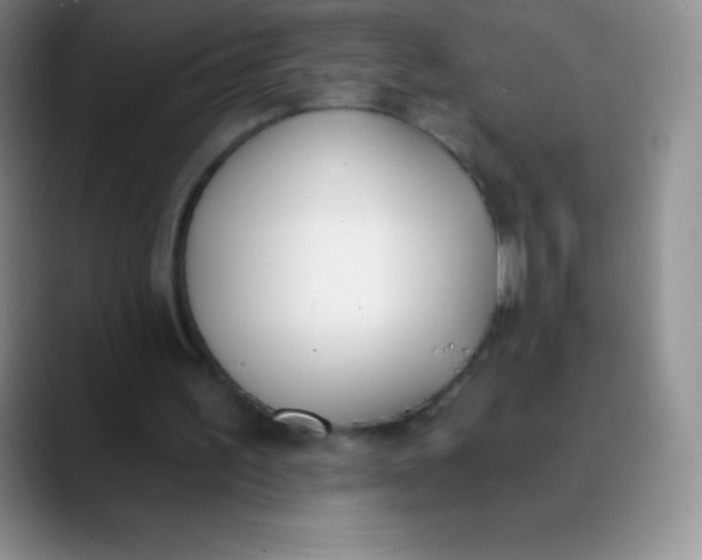 X0000089850195200707191908