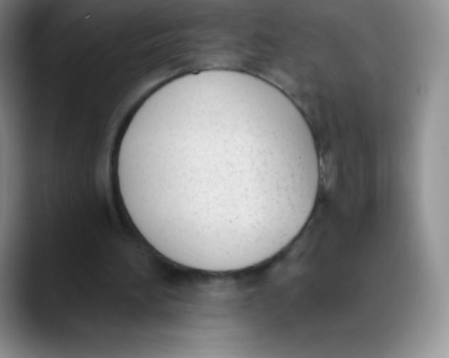 X0000089850196200707191908