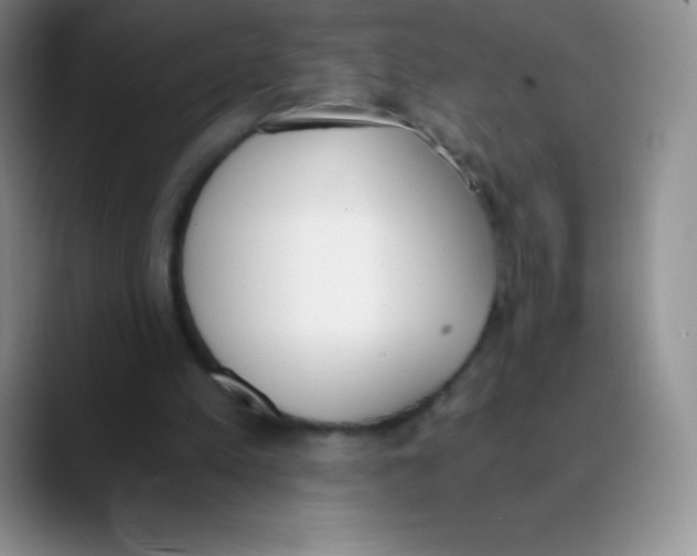 X0000089850197200707191908