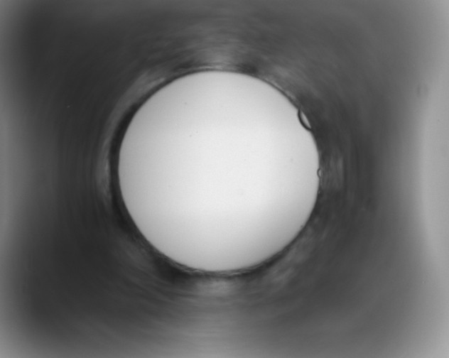 X0000089850198200707191908