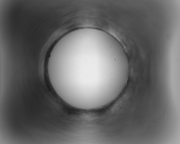 X0000089850199200707191908