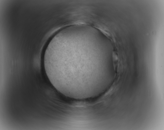 X0000089850200200707191908