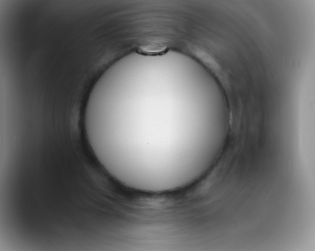 X0000089850201200707191908