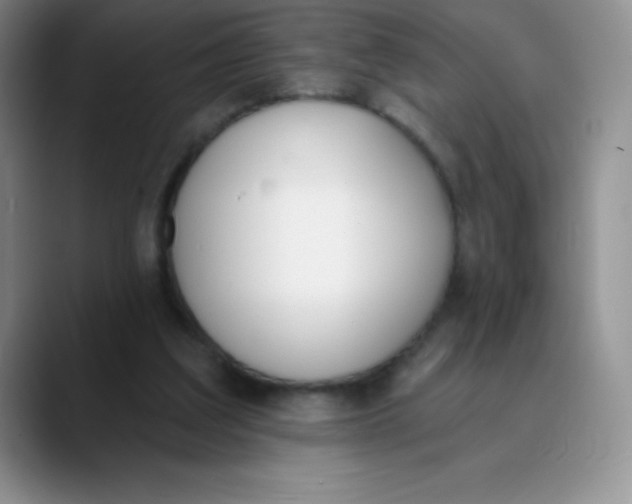 X0000089850203200707191908