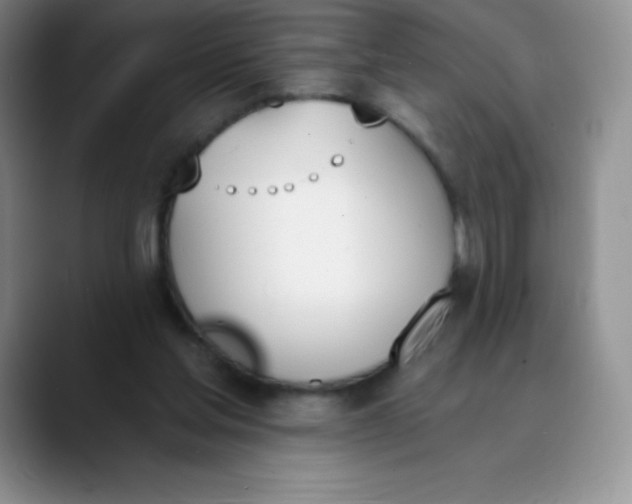 X0000089850205200707191908