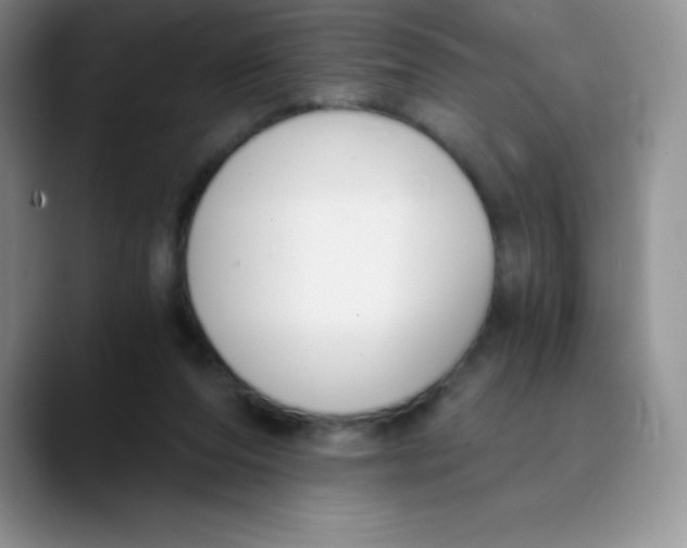 X0000089850208200707191908