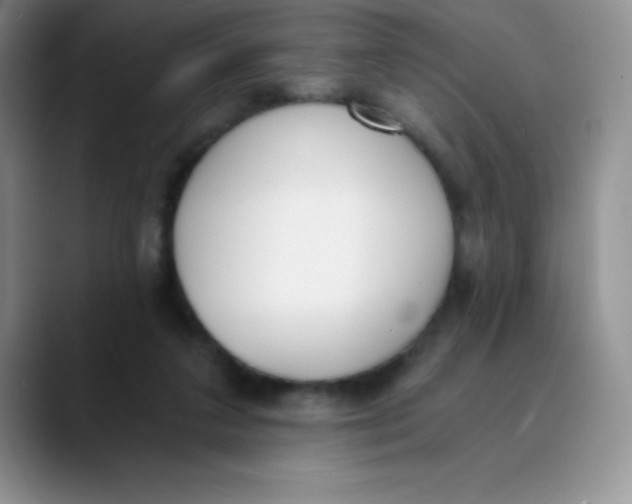 X0000089850211200707191908