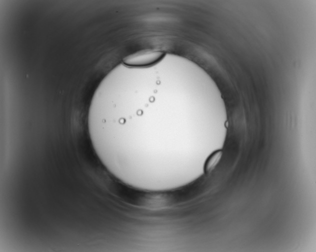 X0000089850218200707191908