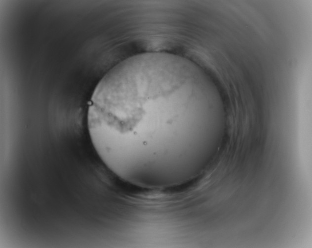 X0000089850219200707191908