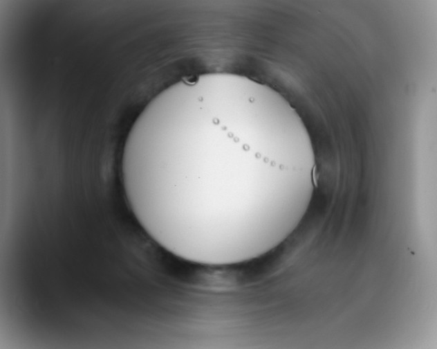 X0000089850221200707191908