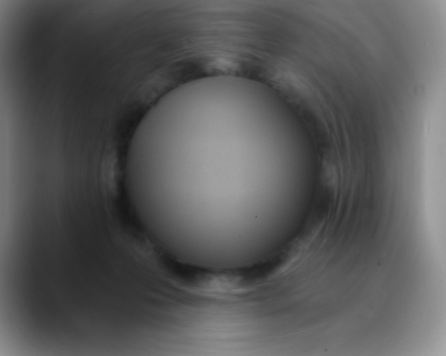 X0000089850223200707191908