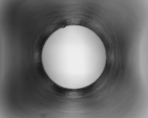 X0000089850224200707191908