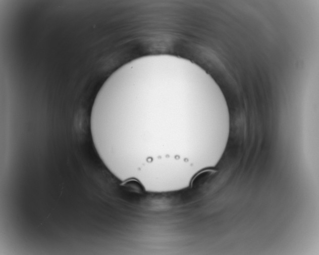 X0000089850228200707191908