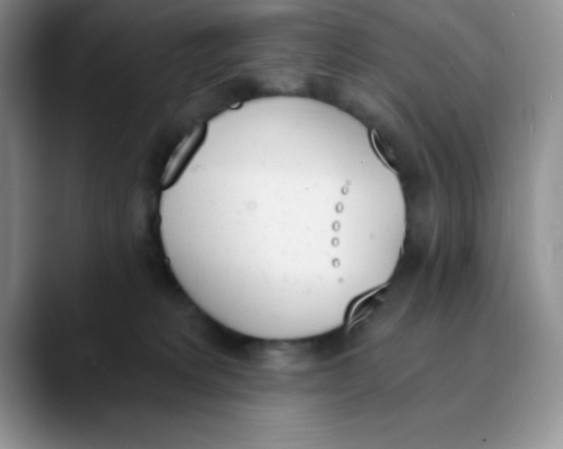 X0000089850229200707191908