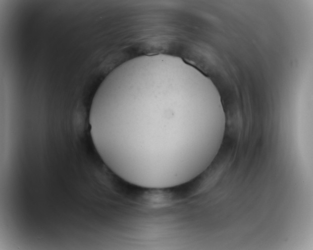 X0000089850231200707191908