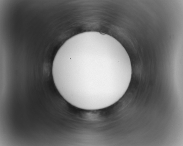 X0000089850232200707191908