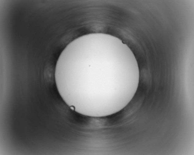 X0000089850234200707191908