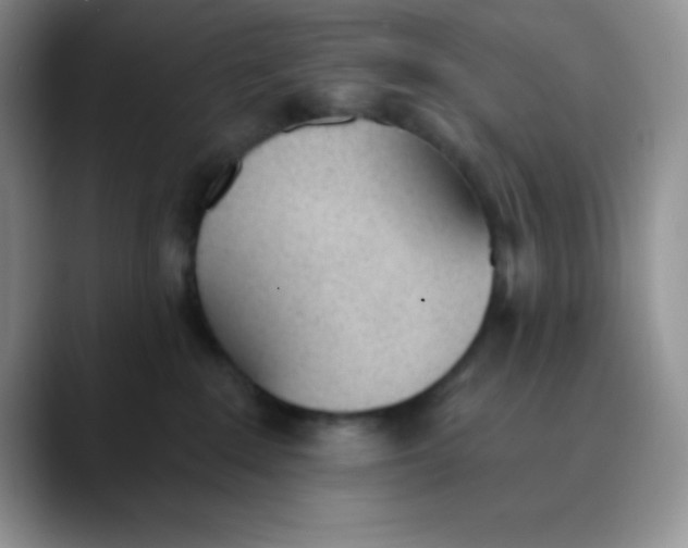 X0000089850235200707191908