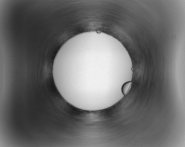 X0000089850236200707191908