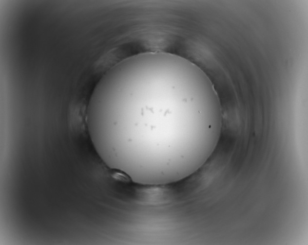 X0000089850237200707191908