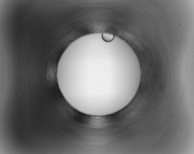 X0000089850240200707191908