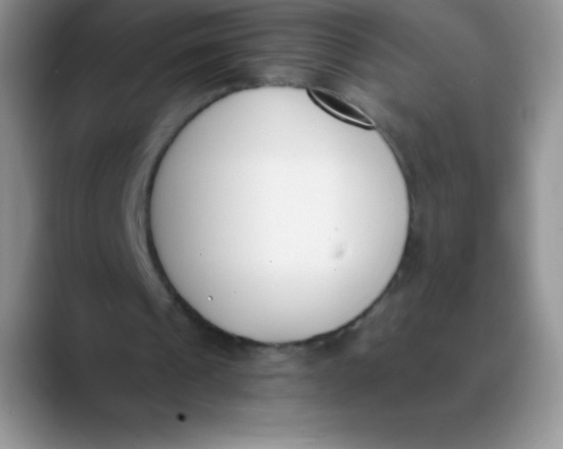 X0000089850241200707191907