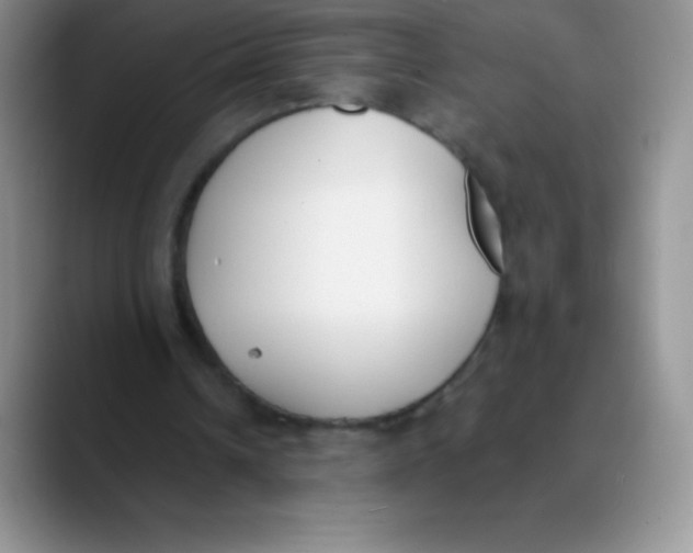 X0000089850242200707191907