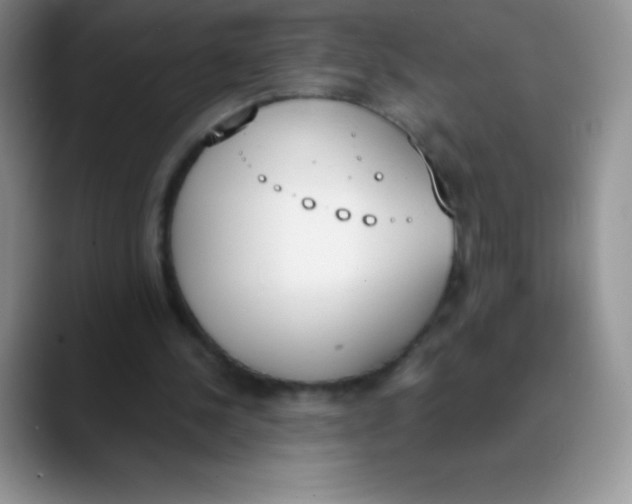 X0000089850244200707191907