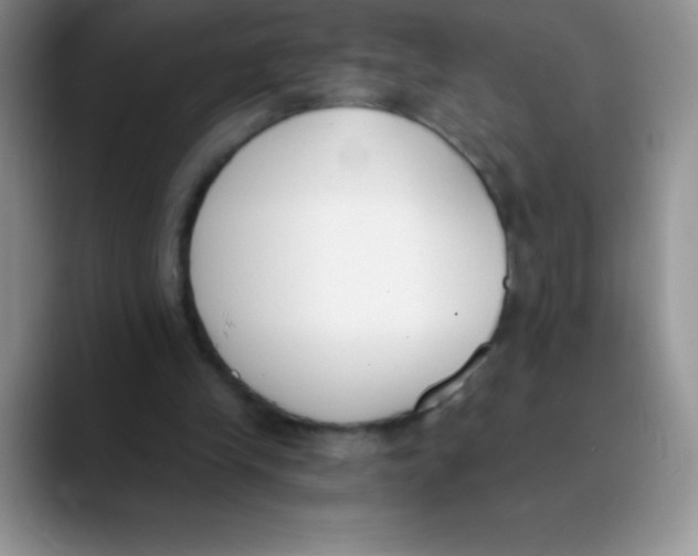 X0000089850245200707191907