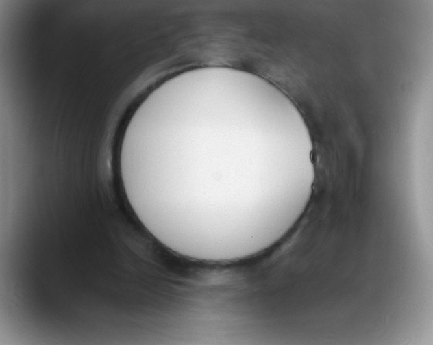 X0000089850246200707191907