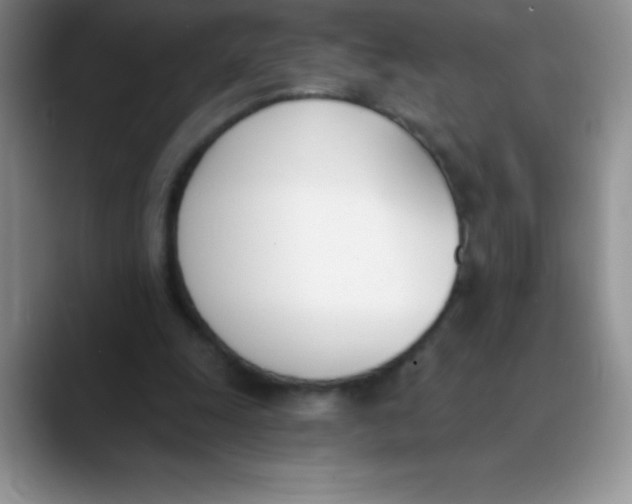 X0000089850247200707191907