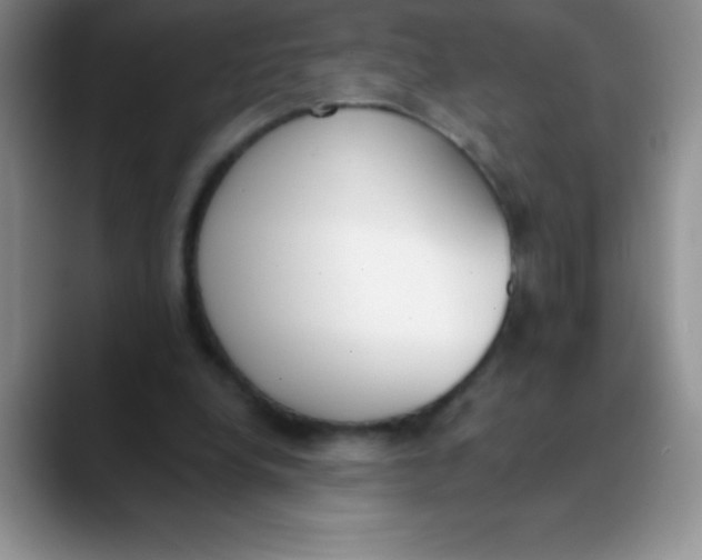 X0000089850248200707191907