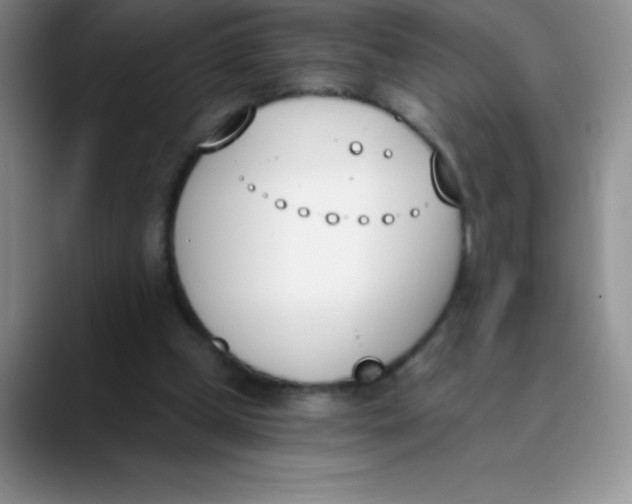 X0000089850249200707191907