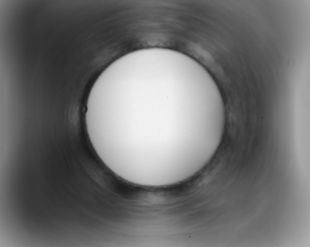 X0000089850250200707191907