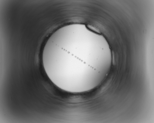 X0000089850252200707191907