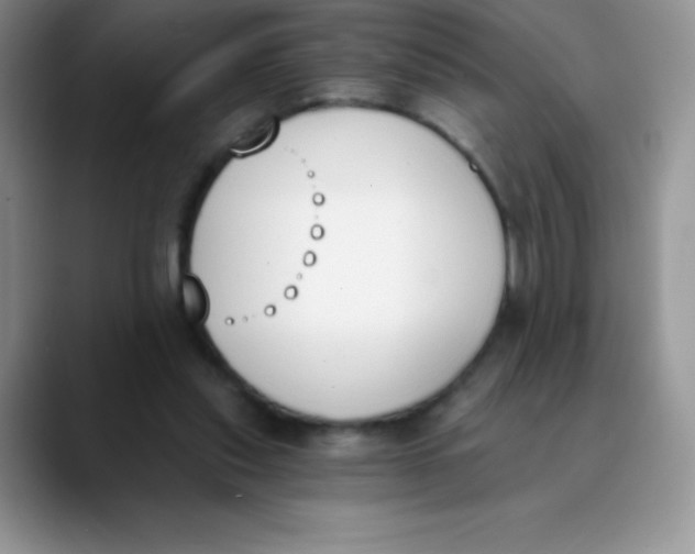 X0000089850253200707191907