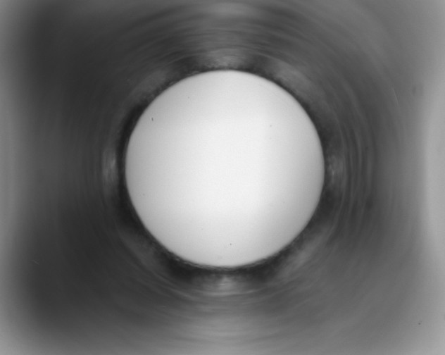 X0000089850254200707191907