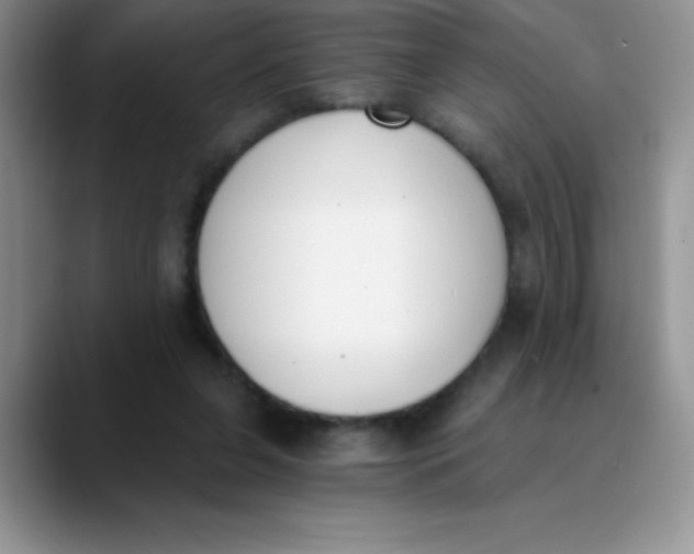 X0000089850255200707191907