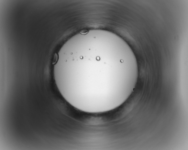 X0000089850256200707191907