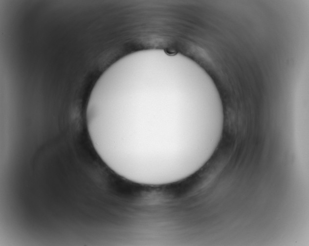 X0000089850259200707191907