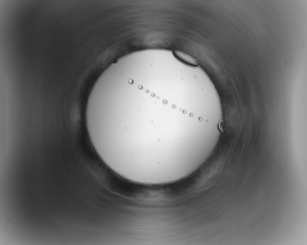 X0000089850260200707191907