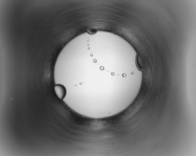 X0000089850261200707191908