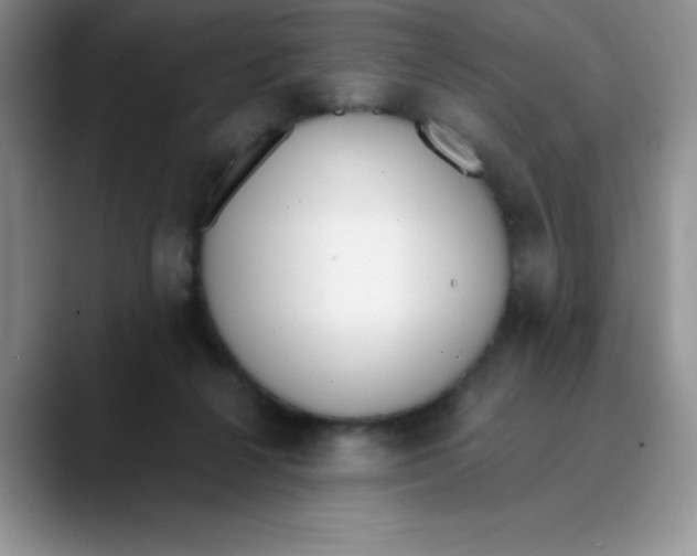 X0000089850264200707191908