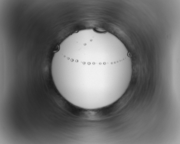 X0000089850265200707191908