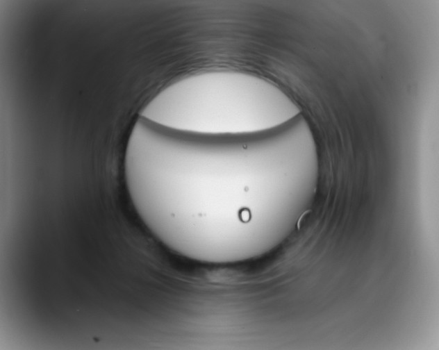 X0000089850268200707191908