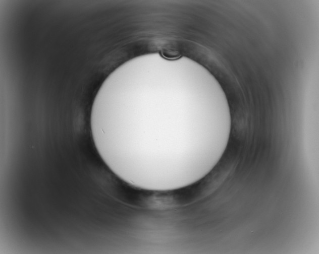 X0000089850270200707191908