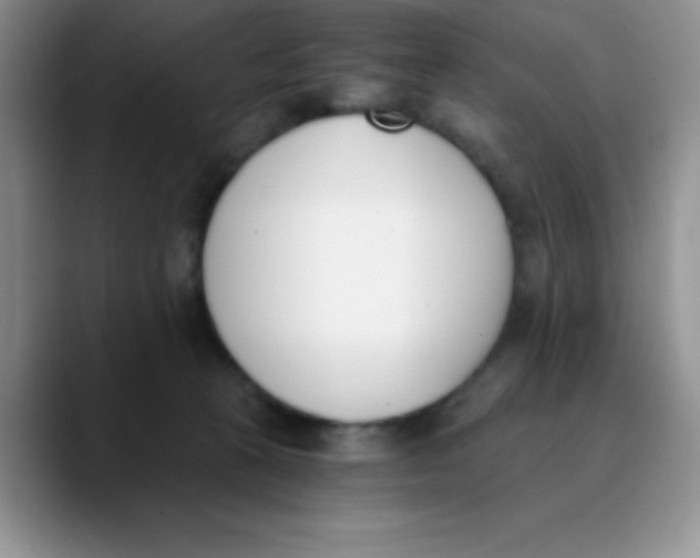 X0000089850273200707191908